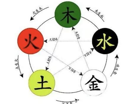 竹 五行|竹字的五行属性